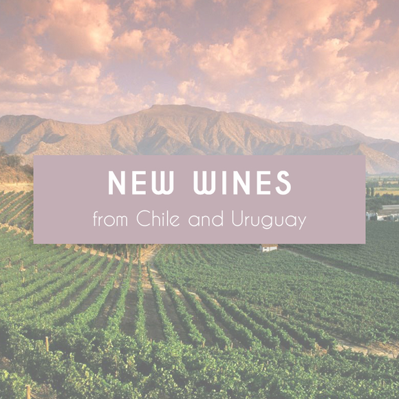 New Wines from Chile and Uruguay