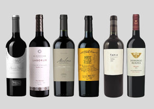 Premium MALBECS - Mixed Case - Latin Wines Online