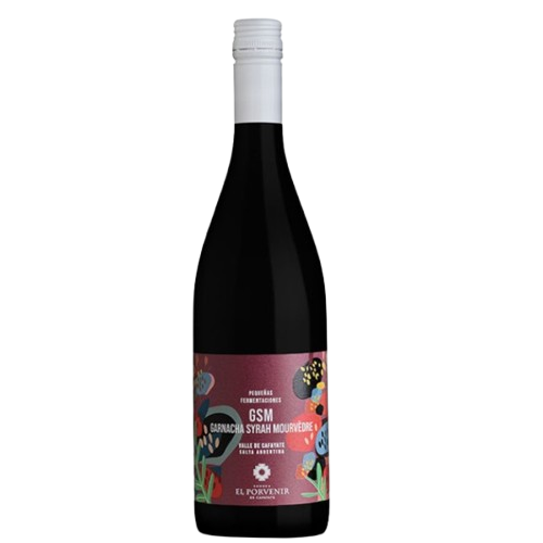 El Porvenir Pequenas GSM 2022