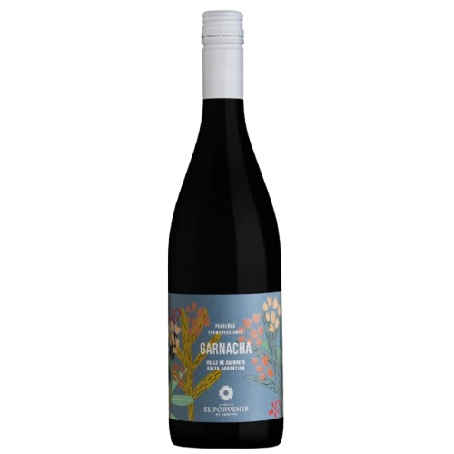 NEW Pequeñas Fermentaciones Garnacha 2022 - Promotion 40% OFF