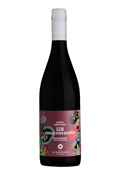 El Porvenir Pequenas GSM 2022