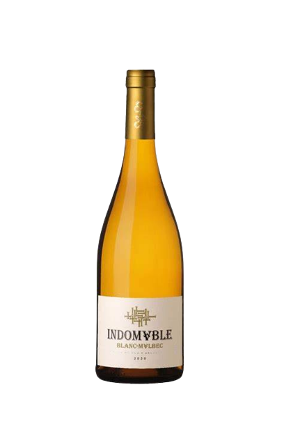 INDOMABLE Blanc De Malbec 2021 NEW - Latin Wines Online