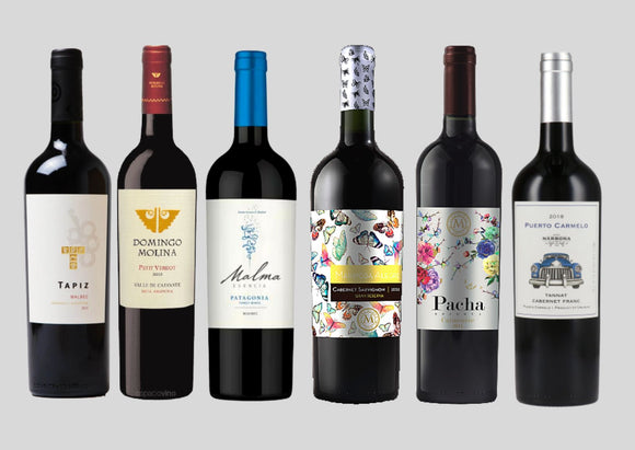 South American Reds MIXED CASE - Latin Wines Online